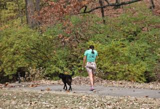 girl walking dog