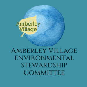 Environmental Stewardship Committee